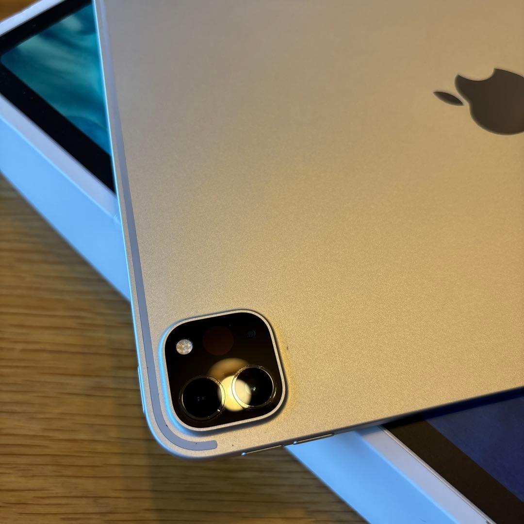 iPad pro 第2世代　11インチ　本体　128gb wi-fiモデル