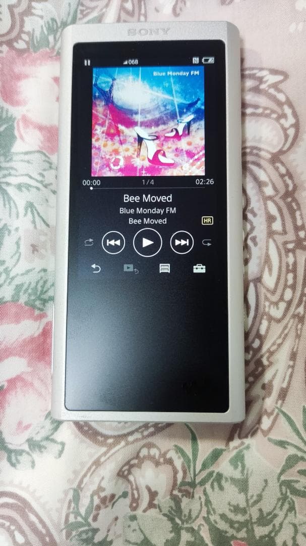 ウォークマンNW-ZX300とバンナイズポーチ