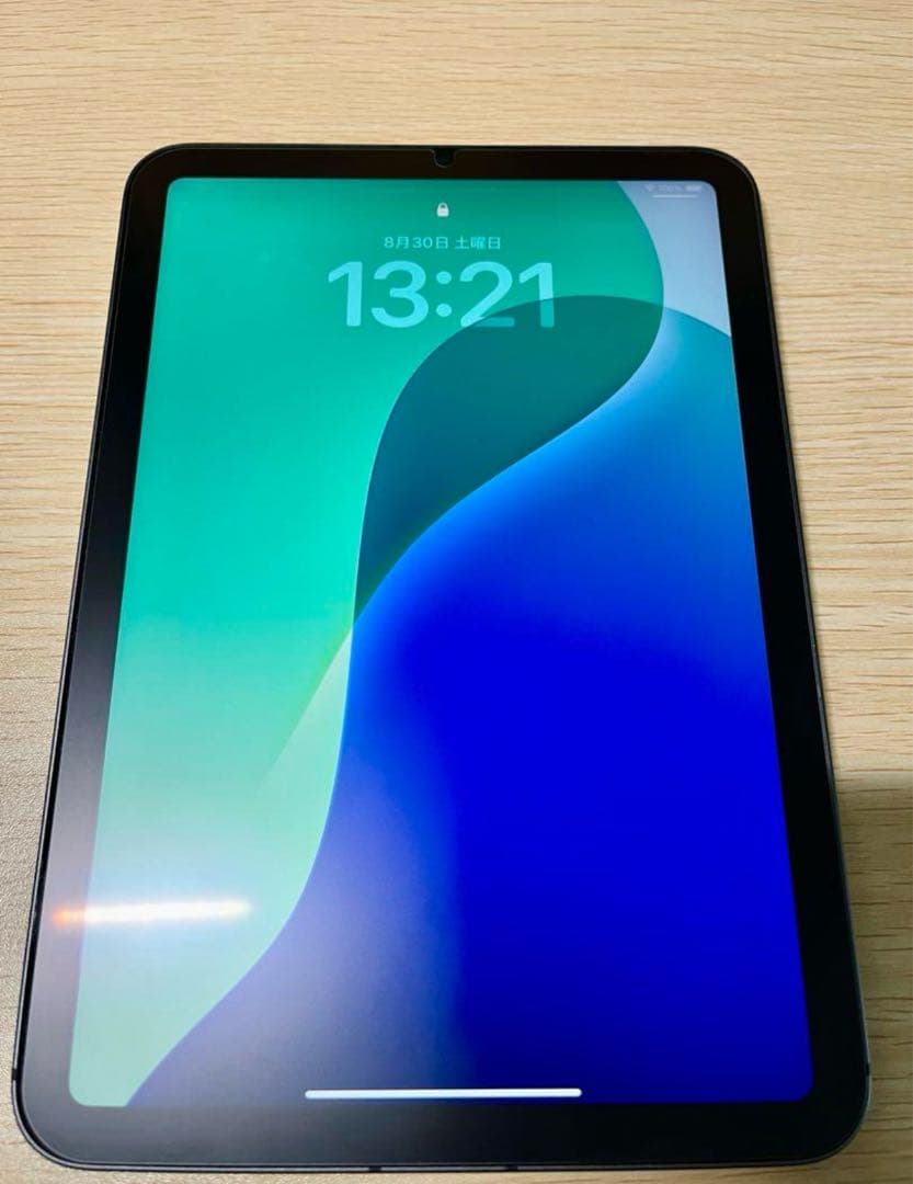 Apple iPad mini 本体 8.3インチ