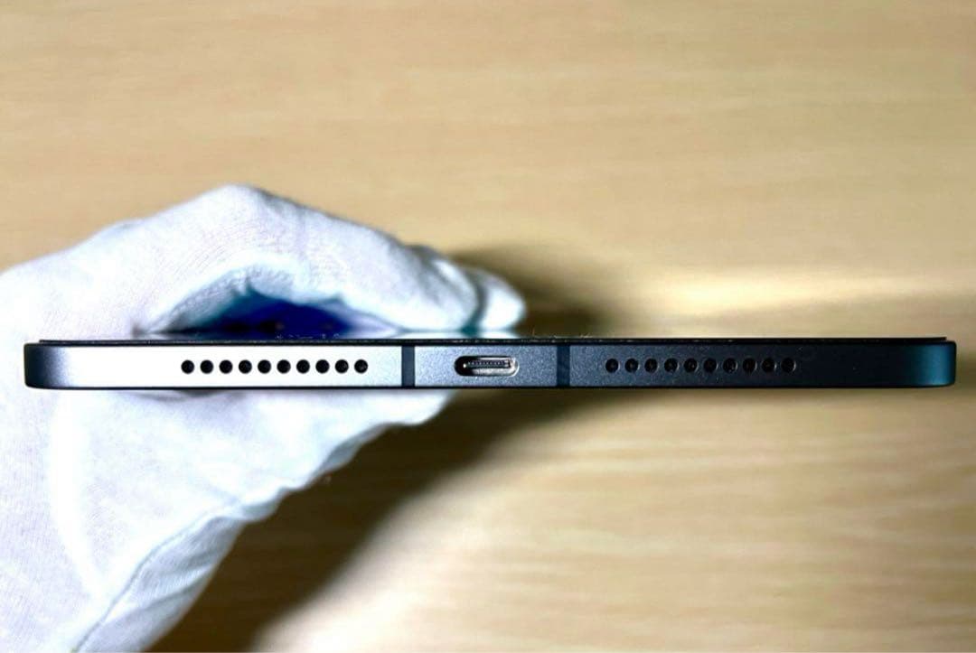 Apple iPad mini 本体 8.3インチ