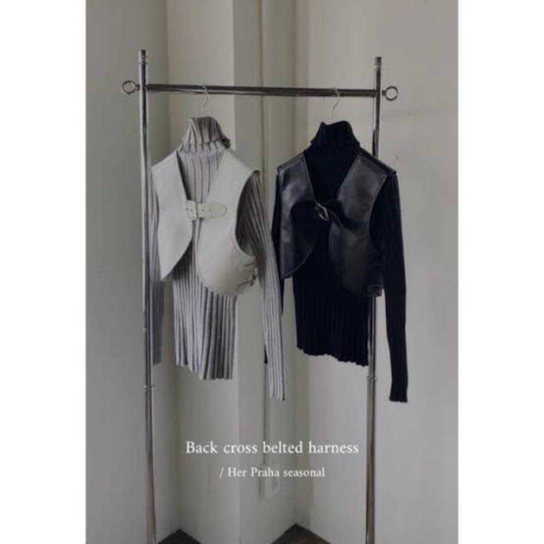 Her Praha バッククロスハーネス【litmus】値下げしました！★