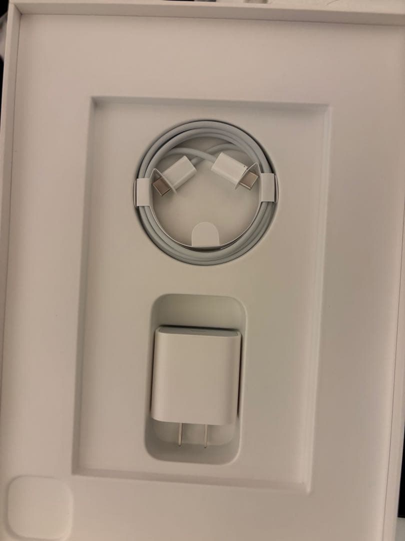 美品M1 iPad Proシルバー