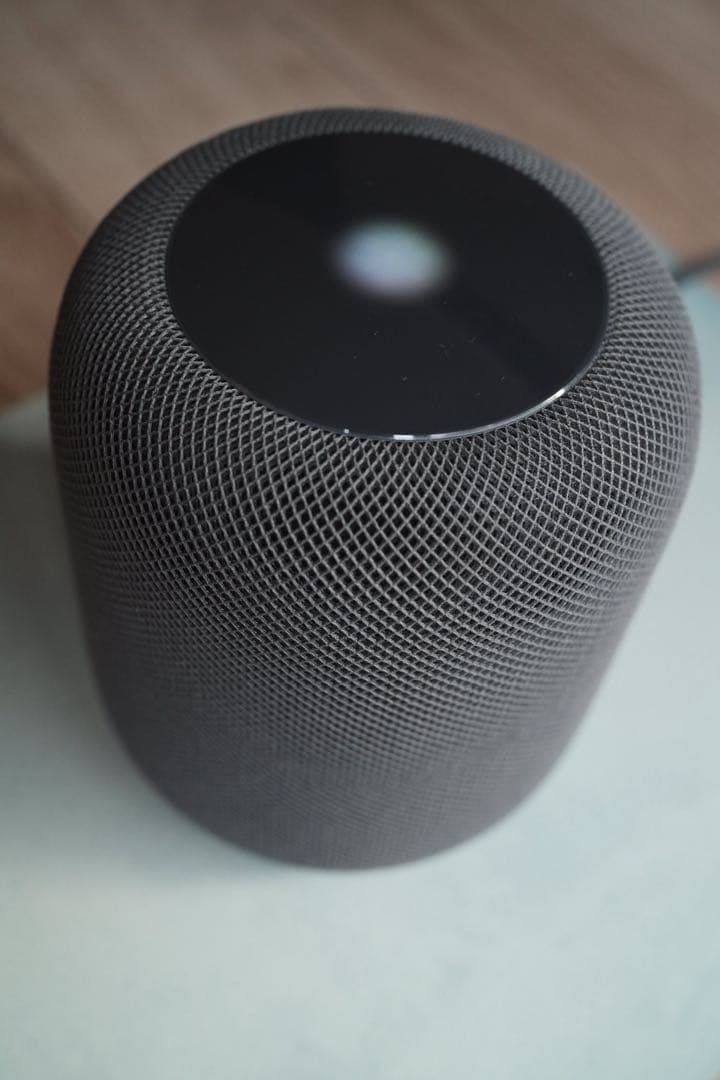 Apple Pod（第1世代）スペースグレイ