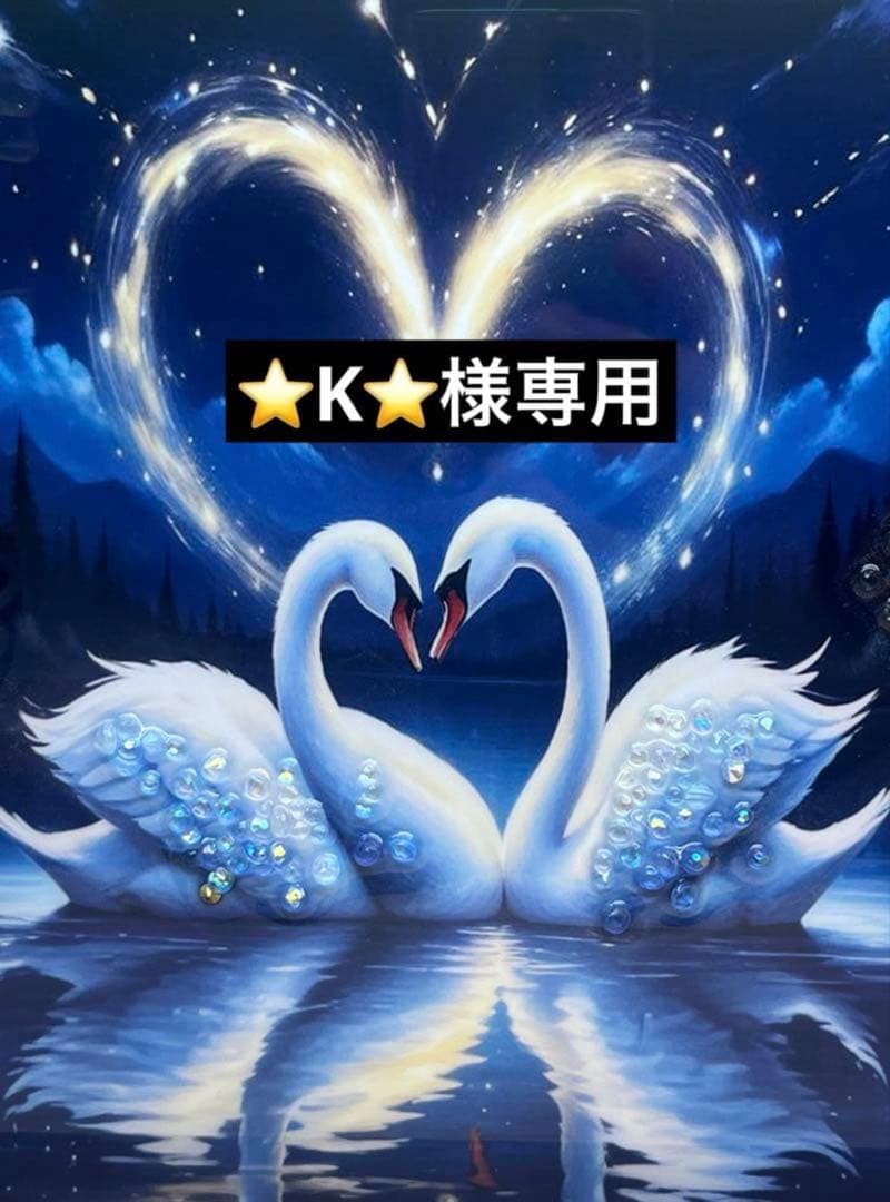 ⭐️K⭐️確認ページ