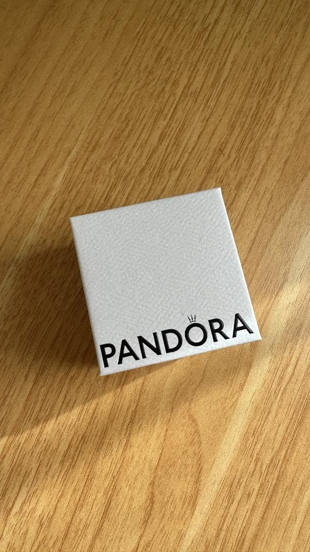 パンドラ PANDORA チャーム 2点セット（ボックス付き）