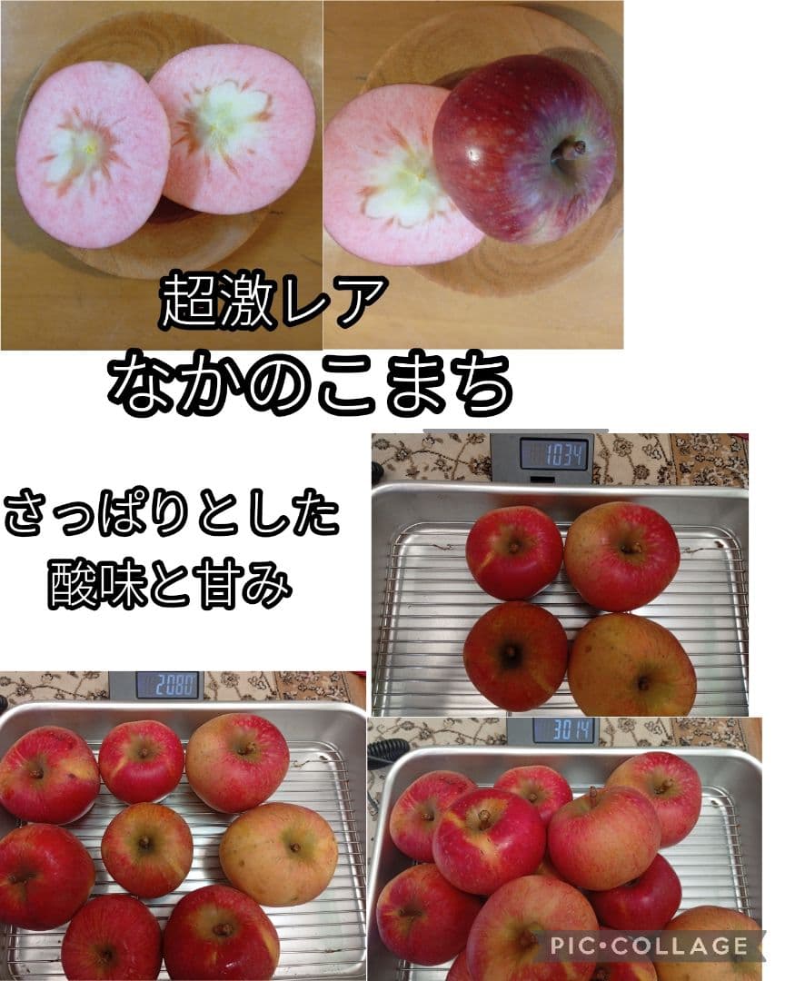 みつばち　りんご詰め合わせ