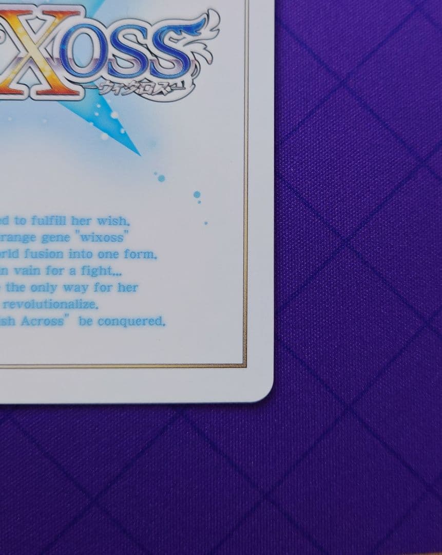 小鳥遊ホシノ（水着）【水上支援】UR