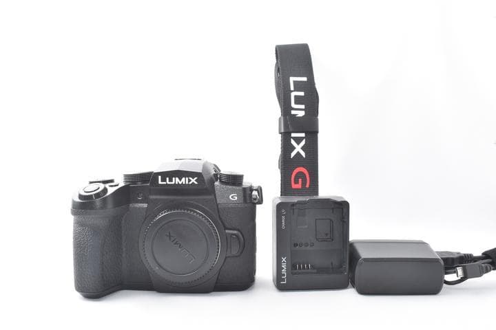 【美品】Panasonic LUMIX DC-G99 ボディ