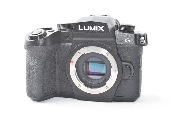 【美品】Panasonic LUMIX DC-G99 ボディ