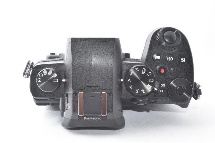 【美品】Panasonic LUMIX DC-G99 ボディ