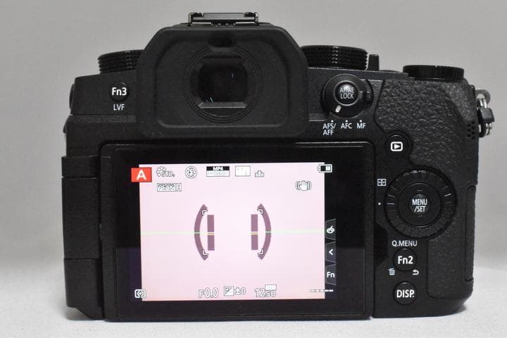 【美品】Panasonic LUMIX DC-G99 ボディ