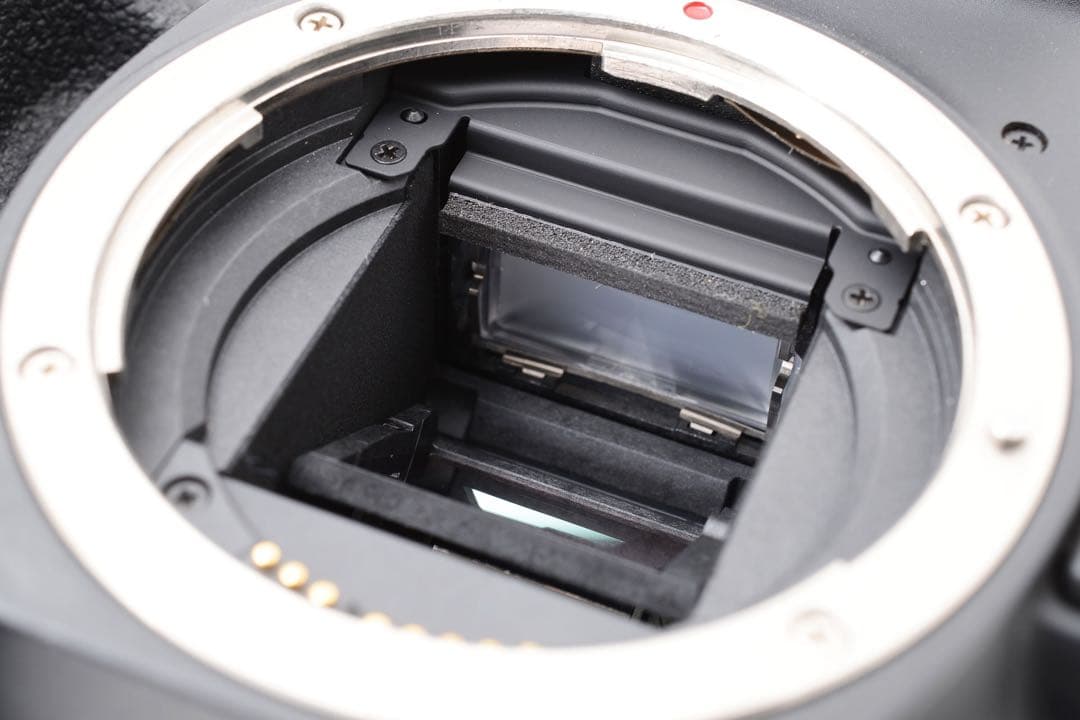 保証/ Wi-Fi/Canon EOS 90D標準&望遠&単焦点レンズセット