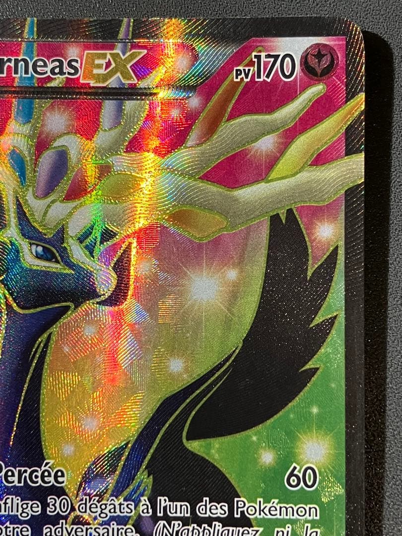 ゼルネアスEX xerneas フランス語　ポケモン