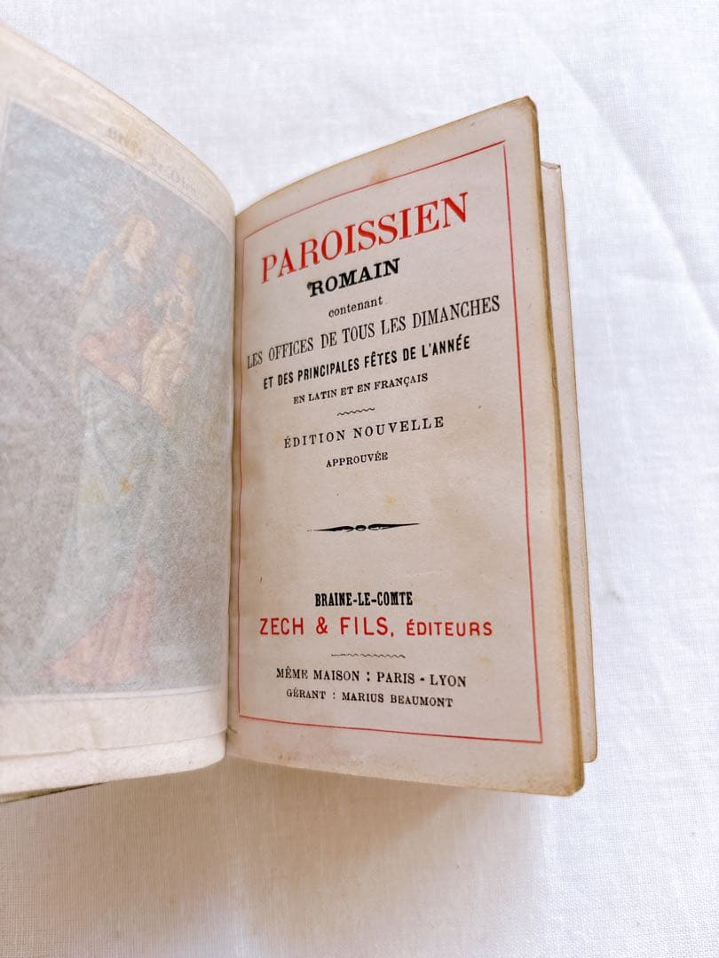 フランスアンティーク　1888年聖書・セルロイド