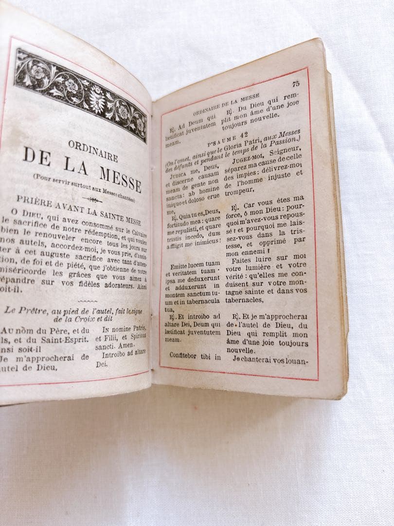 フランスアンティーク　1888年聖書・セルロイド