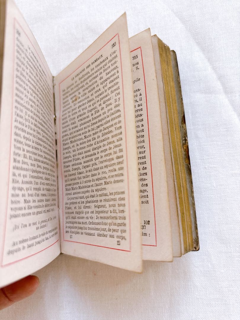 フランスアンティーク　1888年聖書・セルロイド