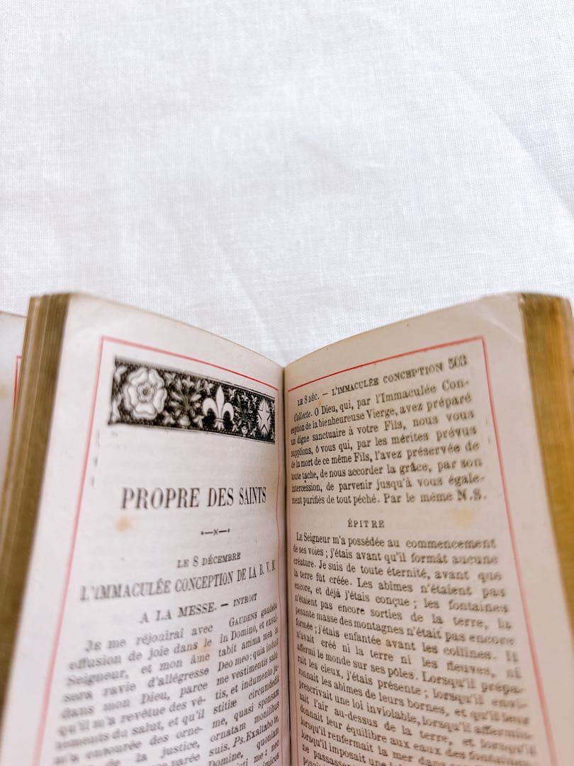 フランスアンティーク　1888年聖書・セルロイド