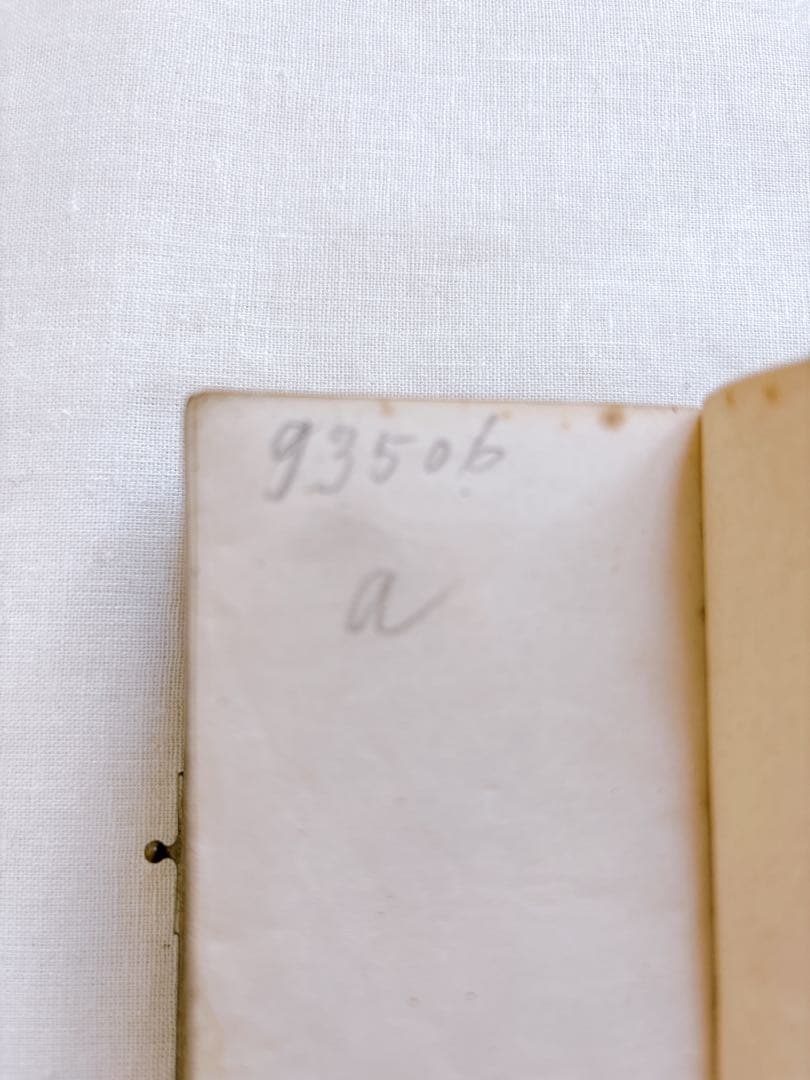 フランスアンティーク　1888年聖書・セルロイド