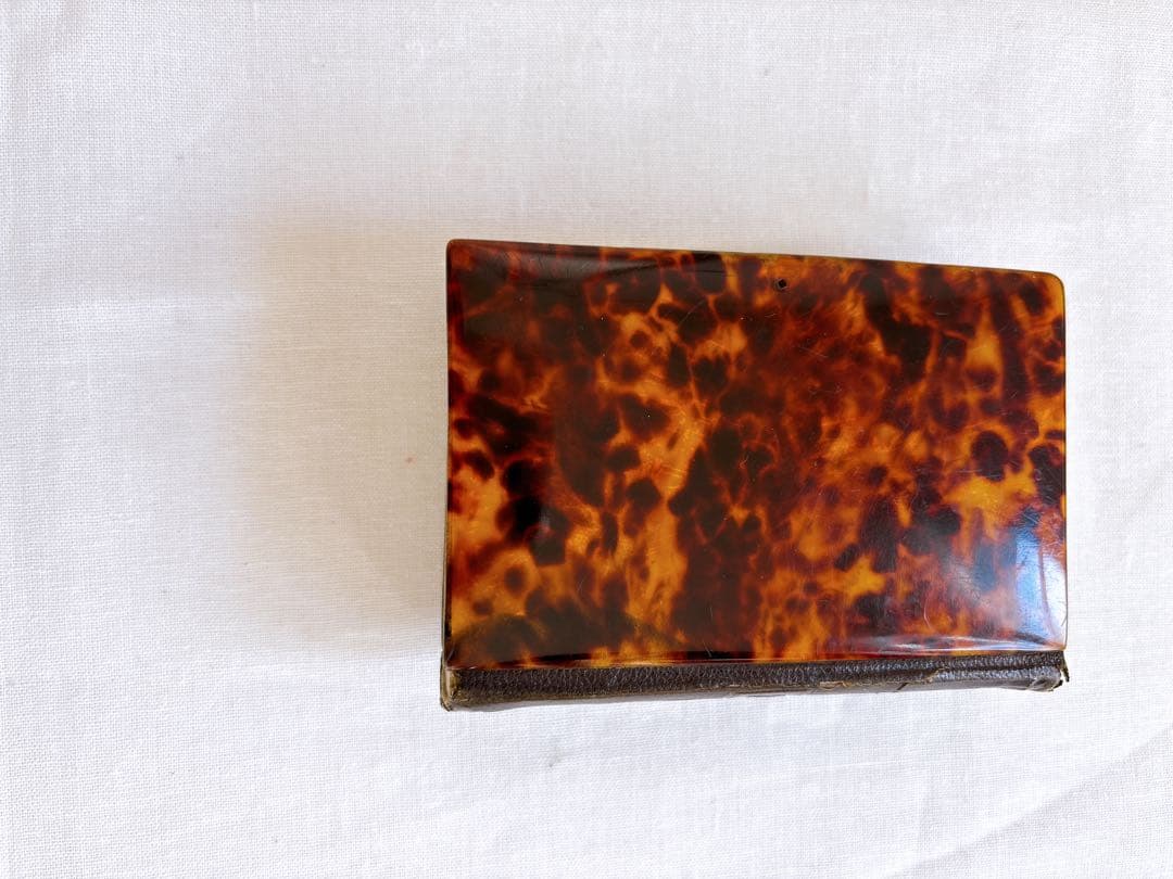 フランスアンティーク　1888年聖書・セルロイド