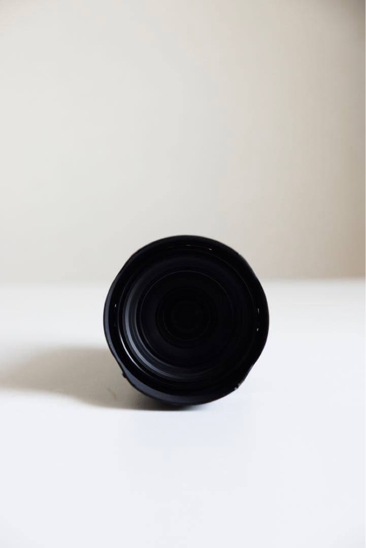 レンズ(ズーム) leica vario elmarit SL 24-70mm f2.8