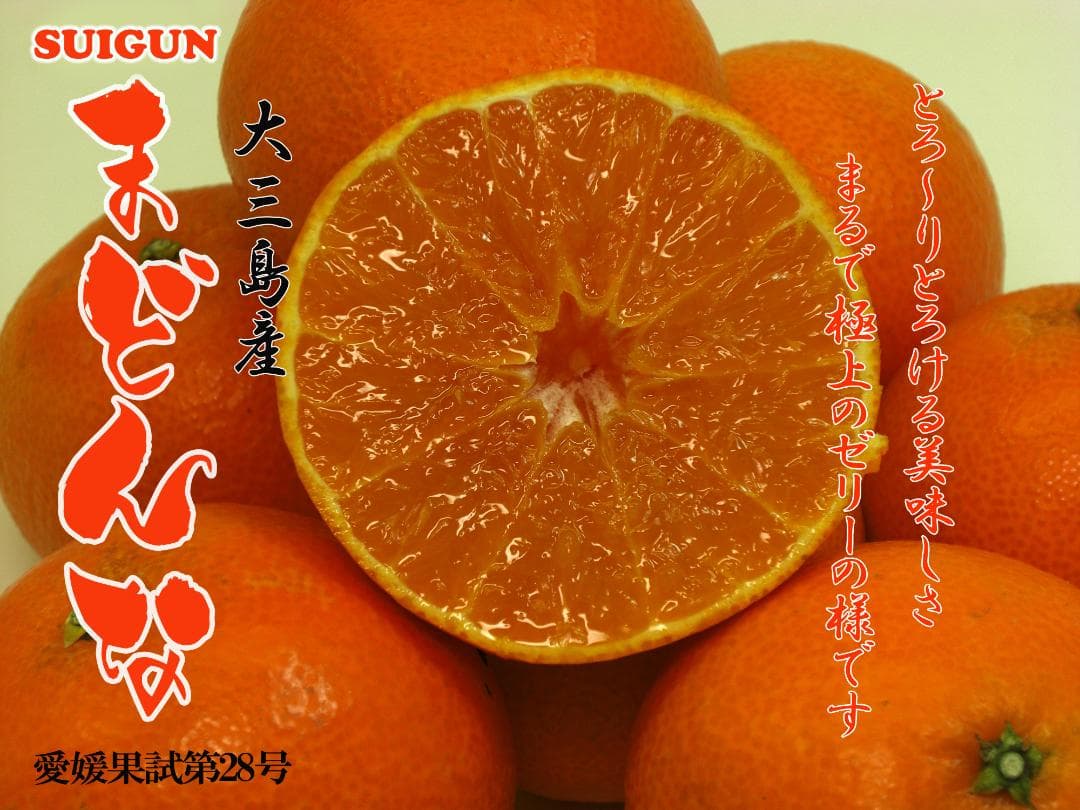 【yuko】M玉SUIGUNマドンナ12Kg　同梱発送