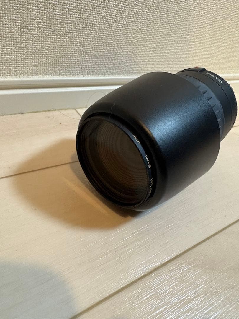 Canon EOS Digital N ＋ 高倍率ズーム 28-300mm