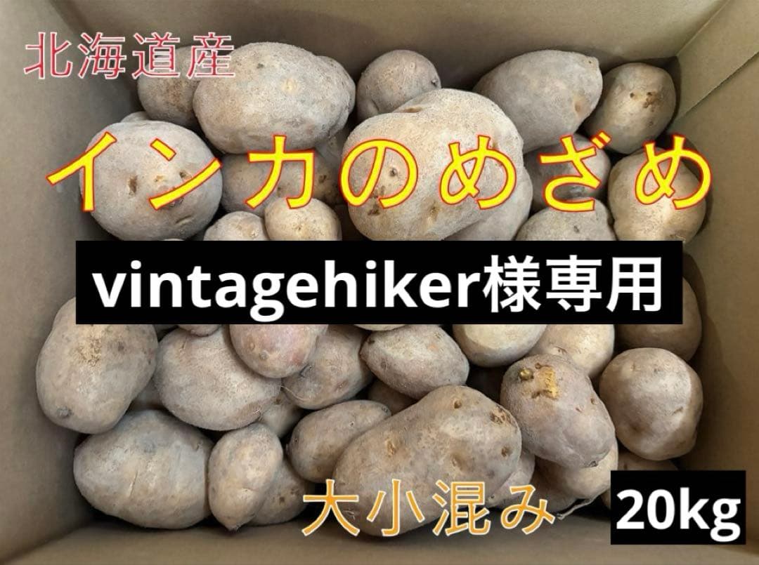 【vintagehiker】北海道産インカのめざめ大小混み20kg