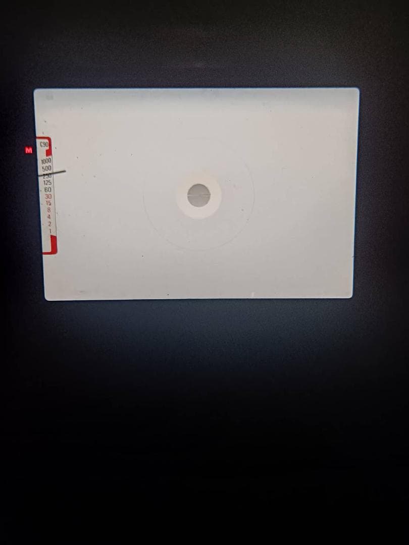 超美品 ニコン FG-20 シルバー フィルムカメラ　モルト新品交換済 H247