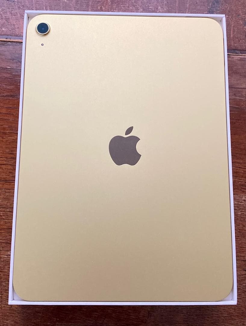 Apple iPad A16 MD4D4J/A おまけ付き