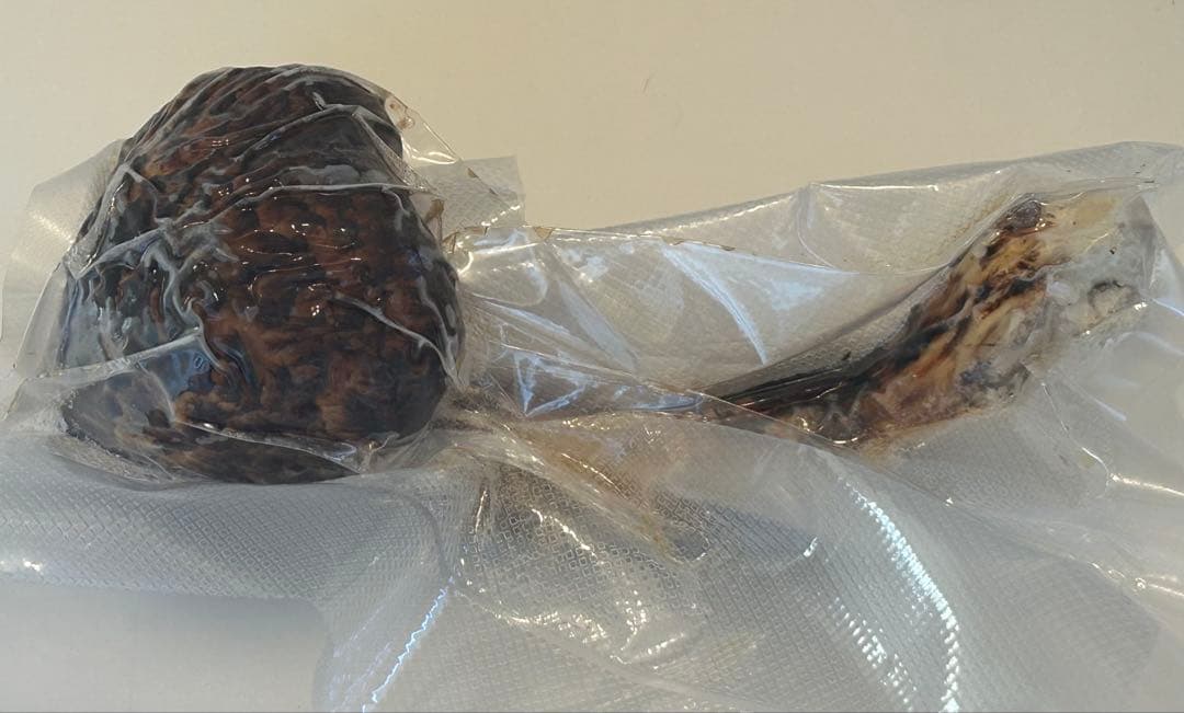 ☆信州産松茸☆冷凍松茸☆特大210グラム！☆まつたけ☆国産☆A☆信州ブランド☆