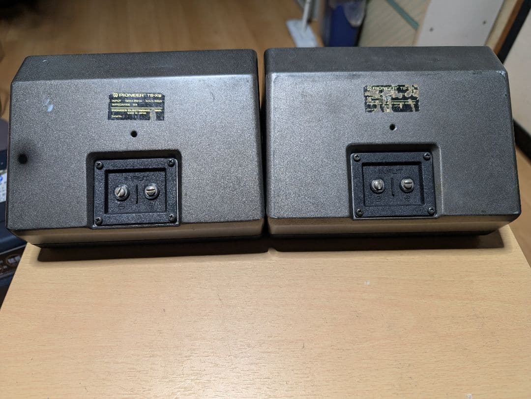 ロンサムカーボーイ　　　TS-X9