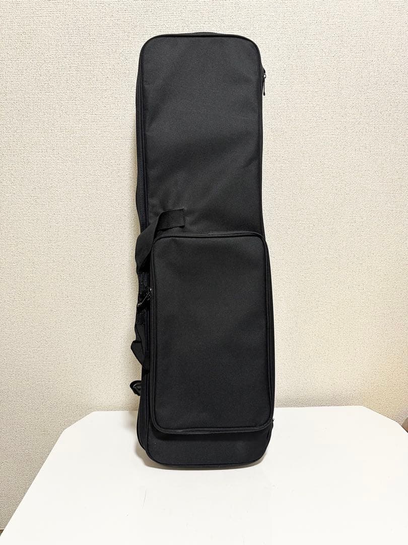 沖縄三線セット ケース付 教本DVD/チューナー付 極美品