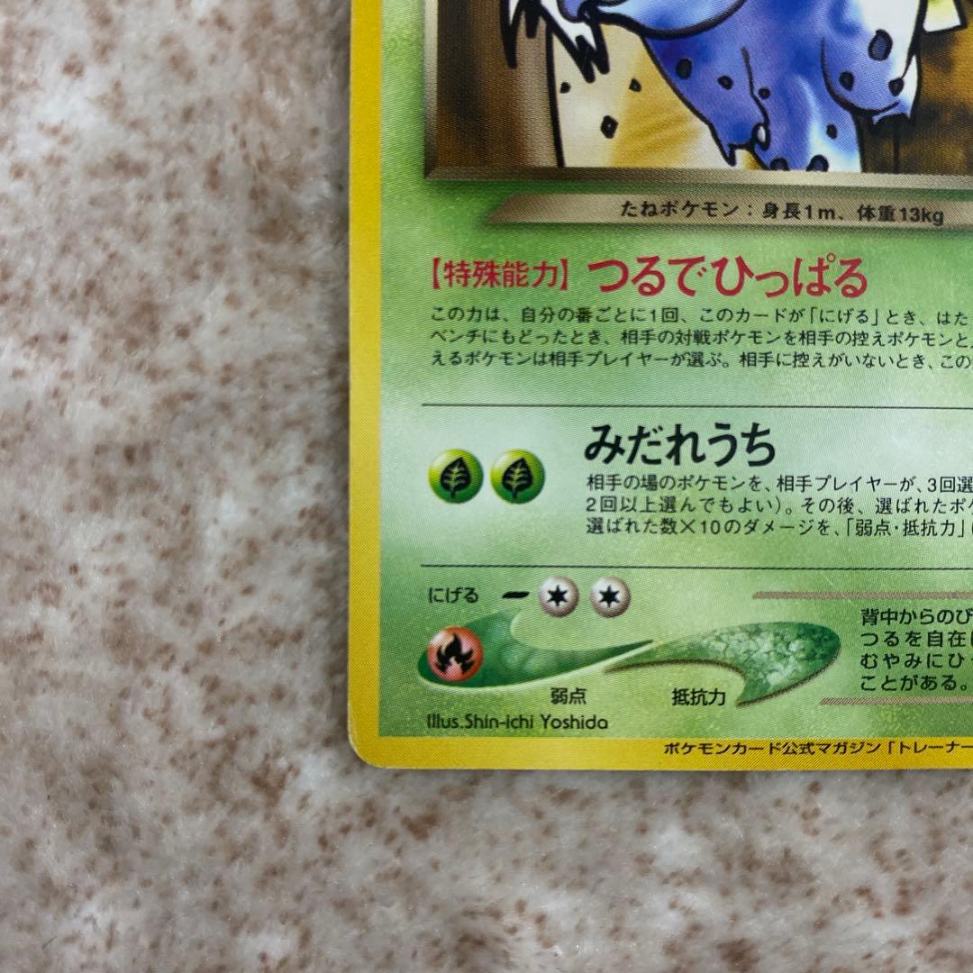 旧裏ポケモンカード　わるいフシギソウ　わるいフシギバナ