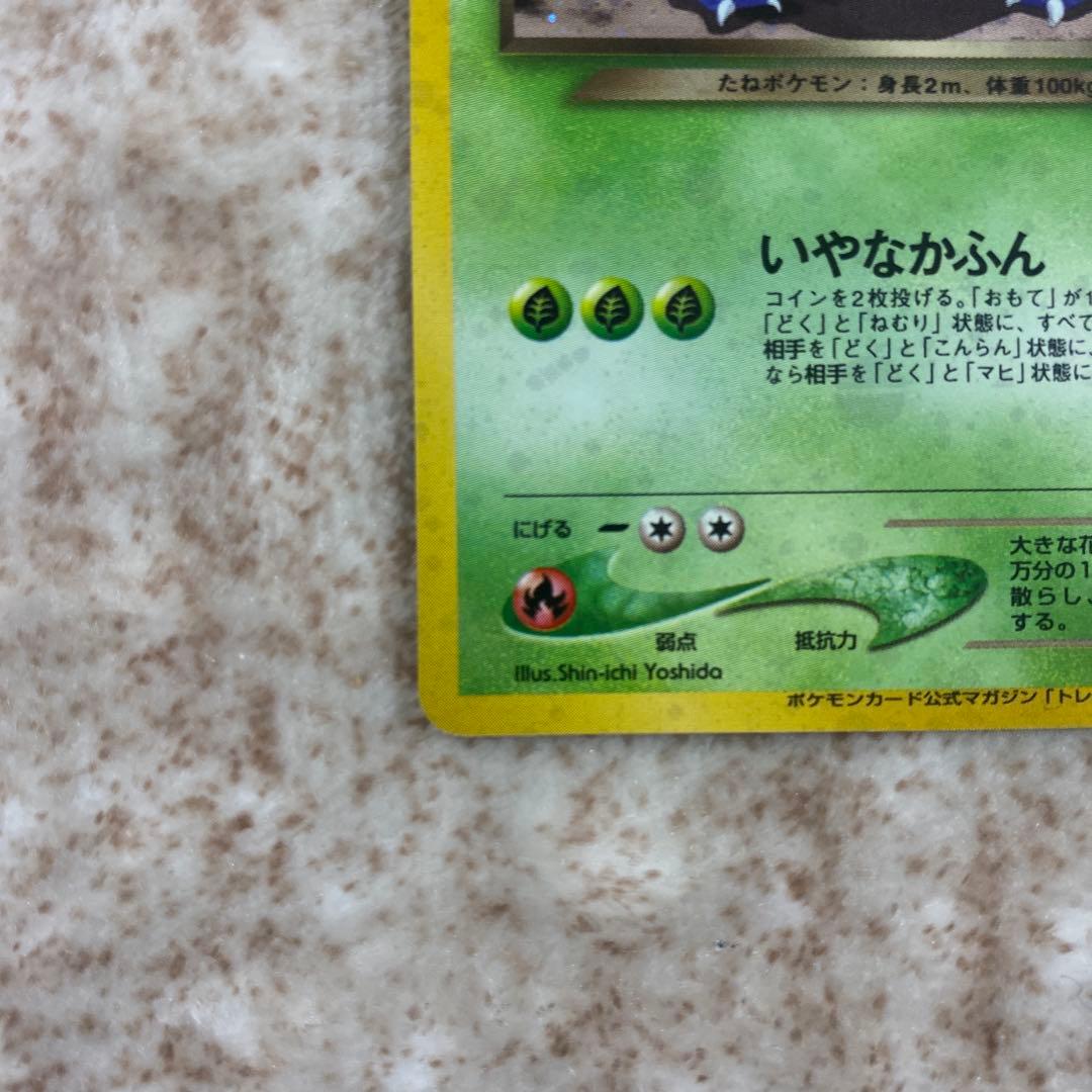 旧裏ポケモンカード　わるいフシギソウ　わるいフシギバナ