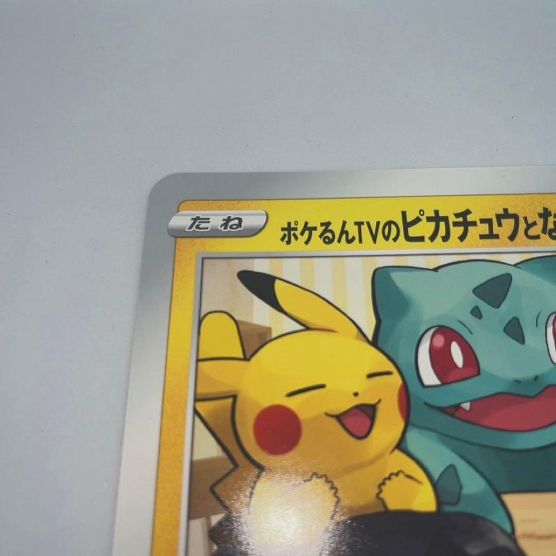 【新品未使用】ポケるんTVのピカチュウとなかまたち【美品】