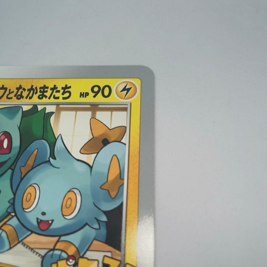 【新品未使用】ポケるんTVのピカチュウとなかまたち【美品】