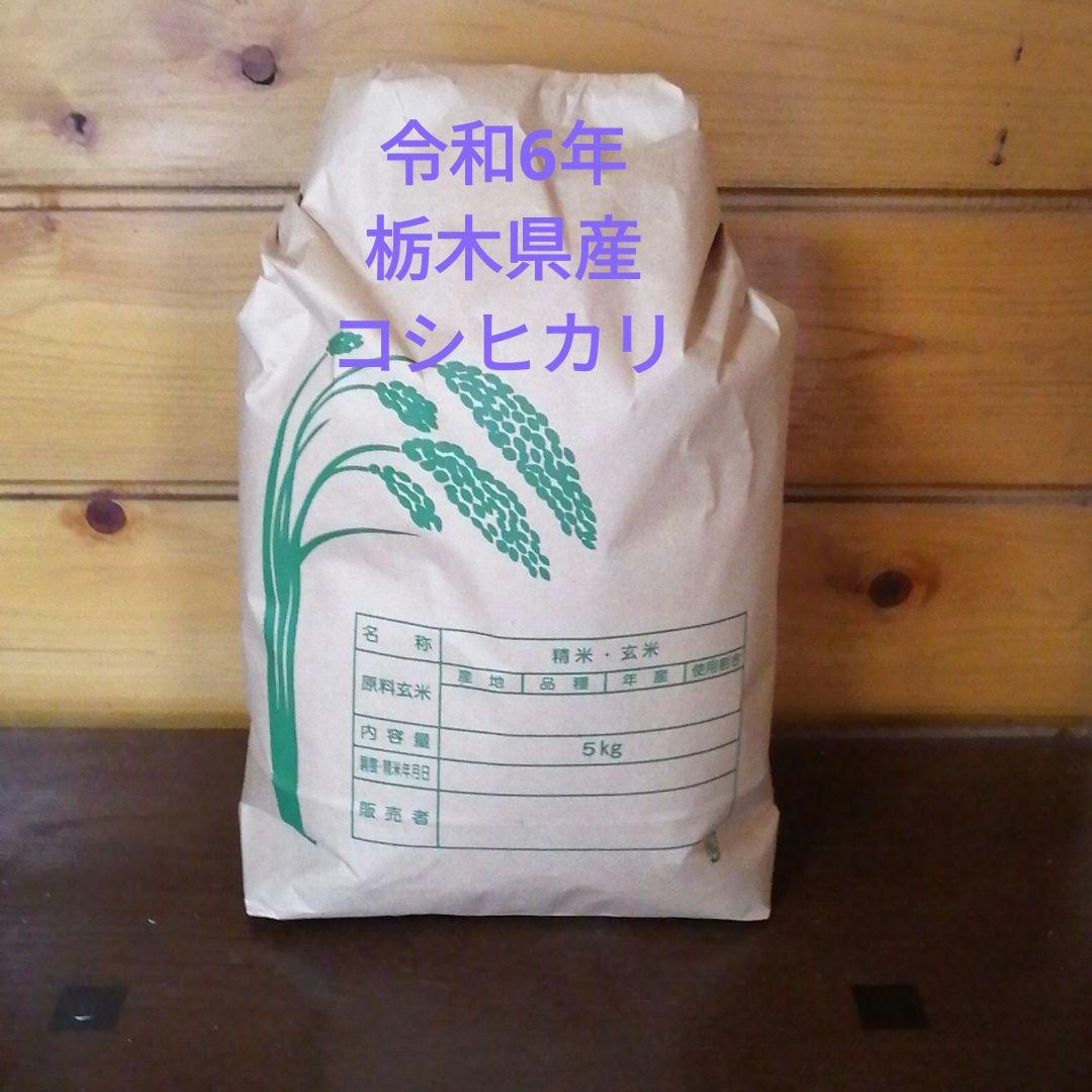 令和6年栃木県産コシヒカリ　白米10kg