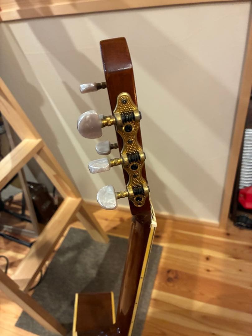 マカフェリタイプ　Wood Land WM-450 ジプシージャズギター