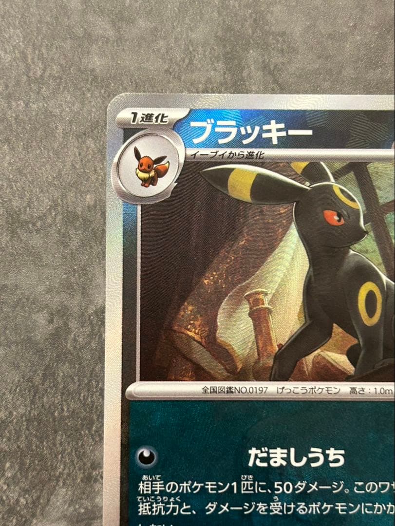 ブラッキー マスターボールミラー ポケカ