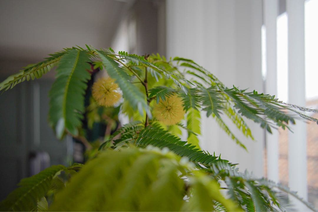 Eマウント　TAMRON28-200mm F/2.8-5.6 Di