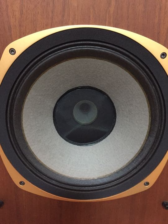 最終価格 TANNOY SRM12X タンノイ