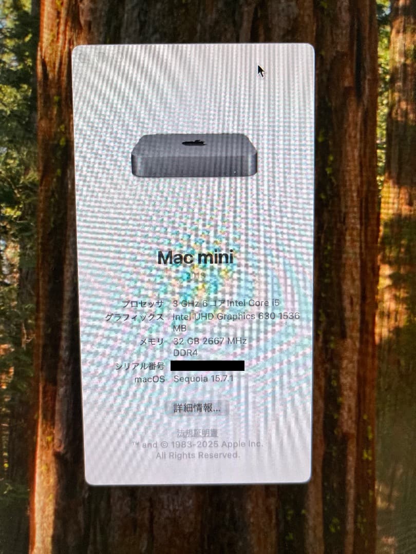 Mac mini (Early 2020) メモリ32GB SSD512GB