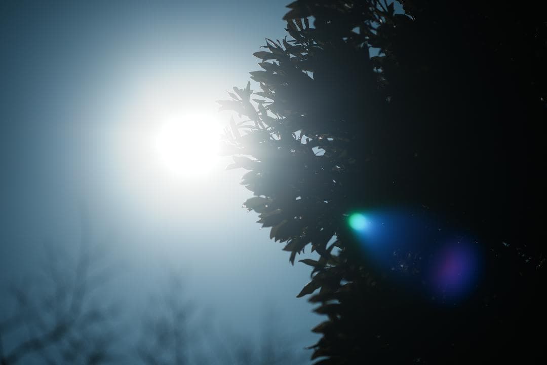 【整備＆テスト】Nikon Ai-s Nikkor 105mm F2.5 708