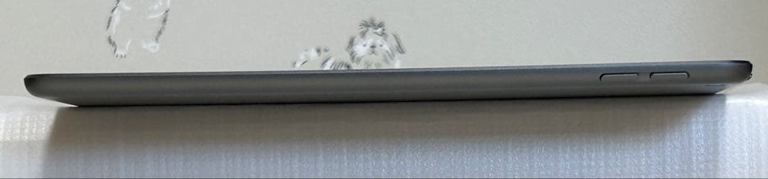 iPad mini 5 64G WiFi本体