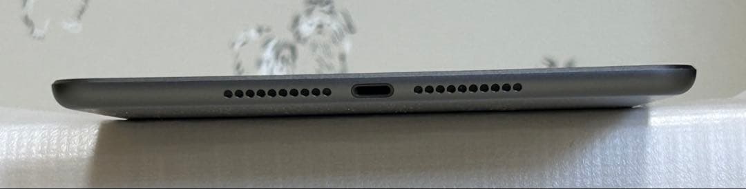 iPad mini 5 64G WiFi本体