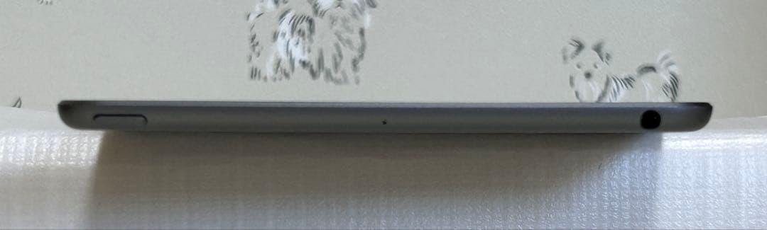 iPad mini 5 64G WiFi本体