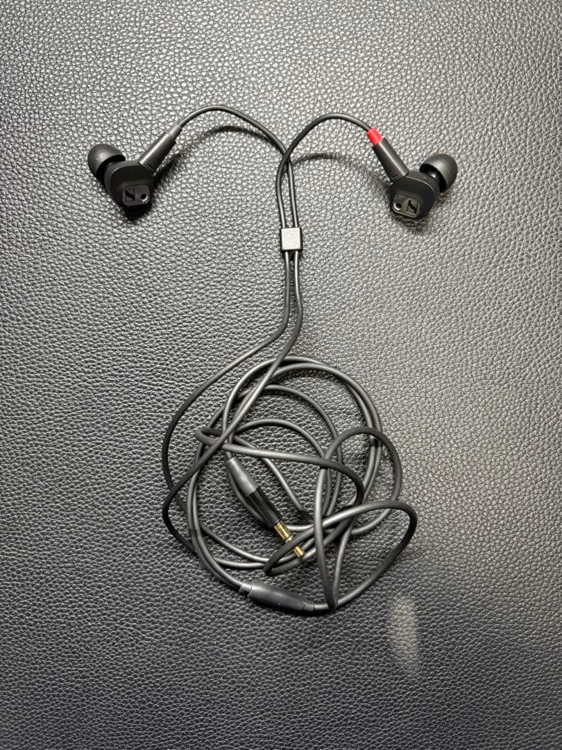 Sennheiser IE 80 S + ケース + 変換アダプタ2種