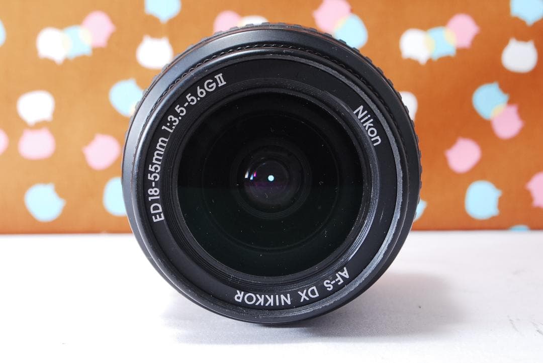 ✨スマホ転送可能✨初心者オススメ✨Nikon D60 レンズセット