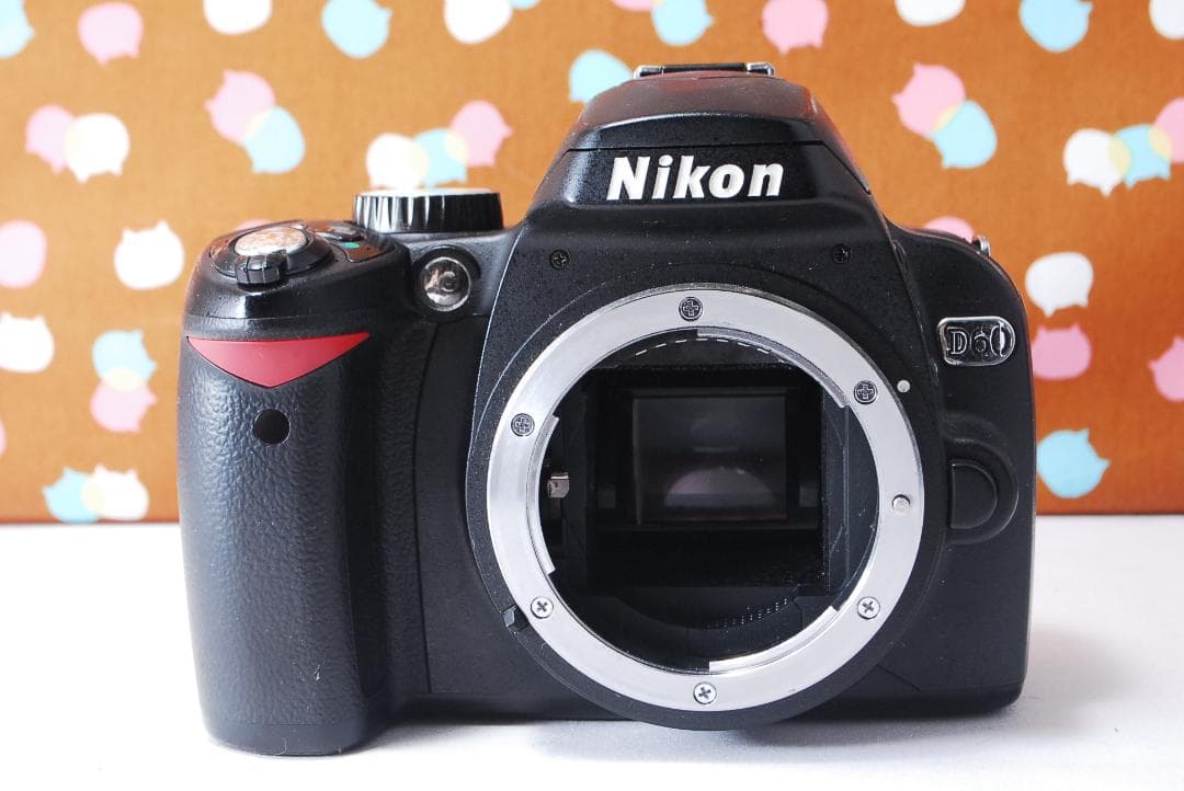 ✨スマホ転送可能✨初心者オススメ✨Nikon D60 レンズセット