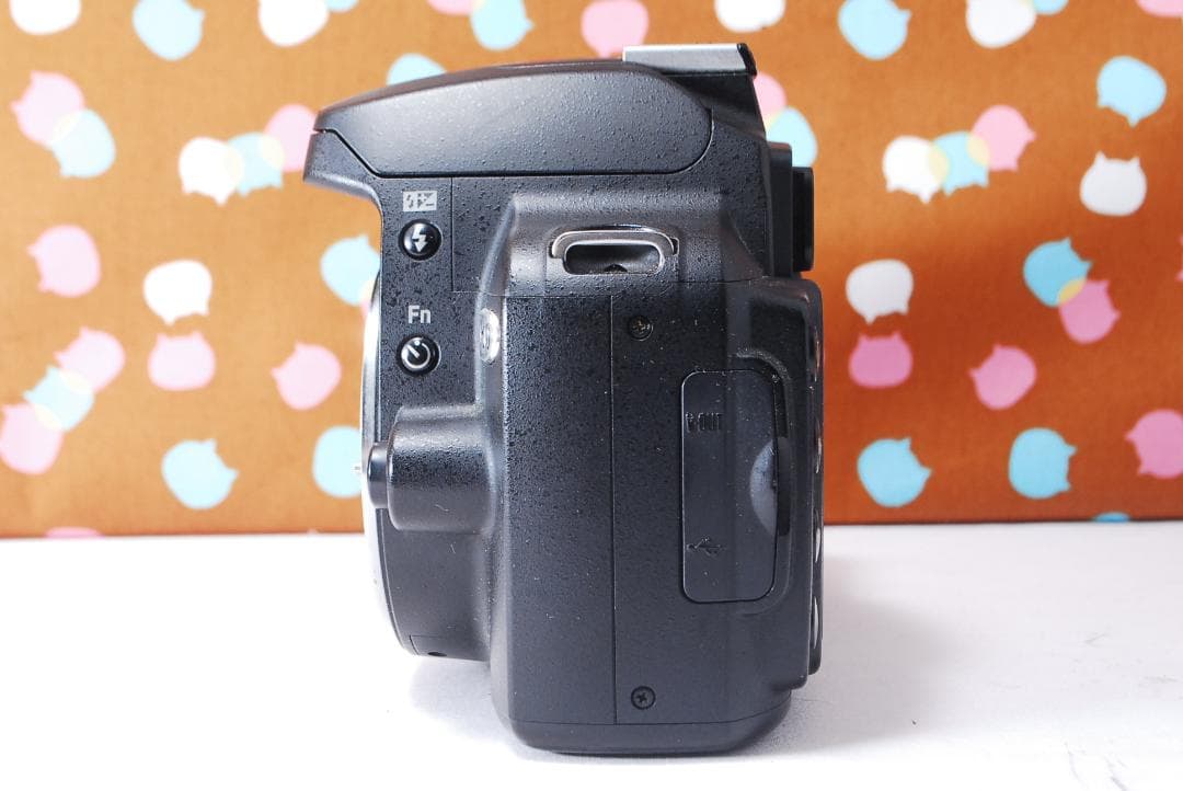 ✨スマホ転送可能✨初心者オススメ✨Nikon D60 レンズセット